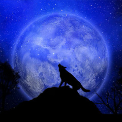 Wolverine-凡度 feat.Blue Orca