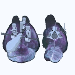 JSR031024v2  34