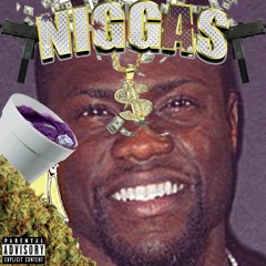 Nigga Gang