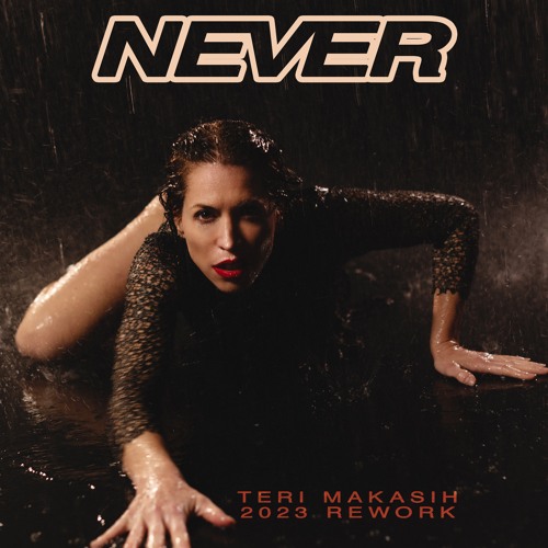 The Roc Project - Never (Filterheadz Vs Tina DUB Remix) (Teri Makasih 2023 Rework)