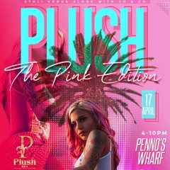 PLUSH PROMO