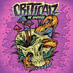 GUNSOO B2B DUPHOC - CRITICALZ B2B SPECIAL DJ CONTEST