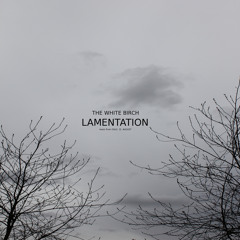 Lamentation (Oslo, 31. August Version)
