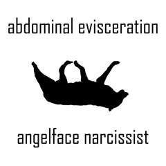 the architecture of abuse