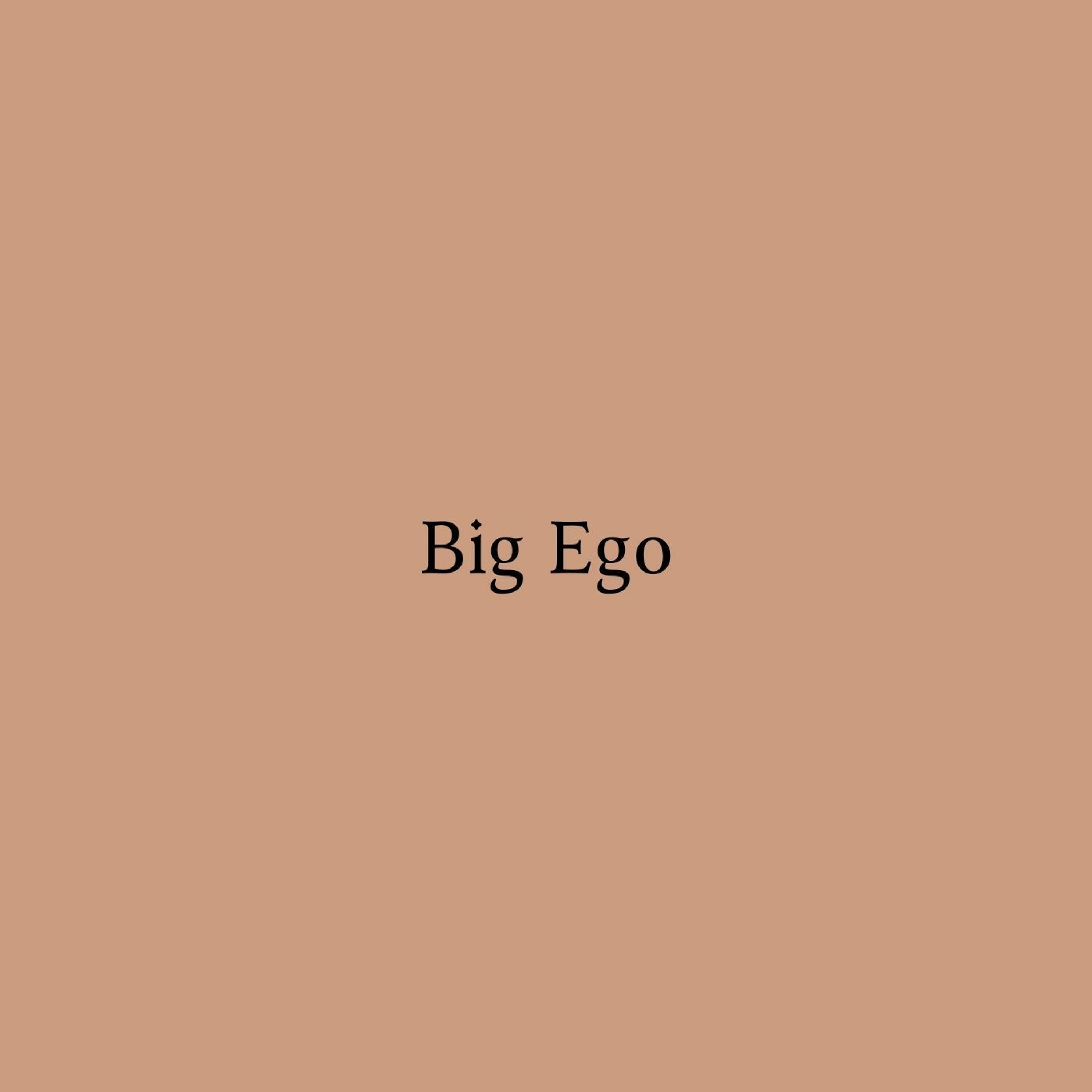 Acoustic Guitar Trap Type Beat - "Big Ego" episode artwork