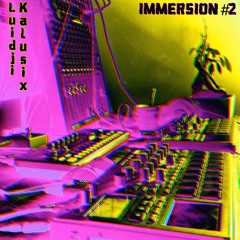 Kalusix 23 & Luidji IMMERSION #2 (Live Korg E2 / E2S)