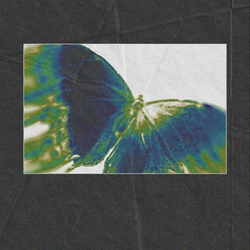 Dorcci - I Lost Hemixo