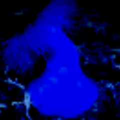 Midnight Zone