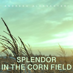 Splendor In The Corn Field