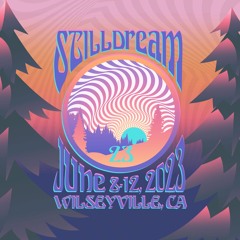 Road to Stilldream Festival Mix