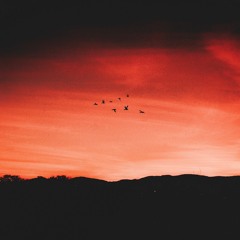 Stay Alive (José González Cover)