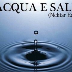 Papik -Acqua E Sale (Nektar Edit)