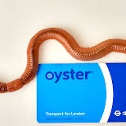 Stream episode The World Sounds only worms can hear this by Drink des