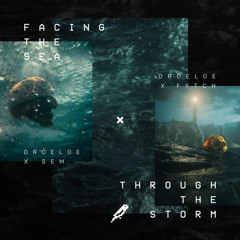 Through The Storm