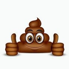 Poop In the Toilet