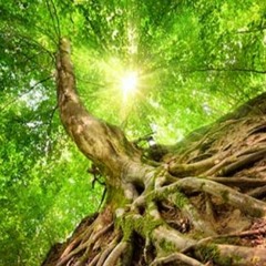 1 - Grounding & Energizing Creativity