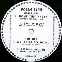 Dogge Team - We Came To Hool (Good Mob Mix)