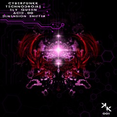 KroniK 001: Cyberpunkk, Technodrome, Ely Queen & Acid.00 - Dimension Shifter [KroniK Label]