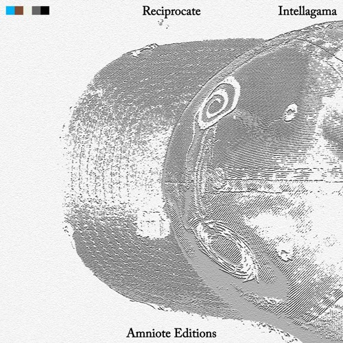 HbF-9: Intellagama - Reciprocate (Amniote Editions 2024)