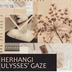 Herhangi - Ulysses' Gaze