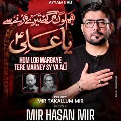 Hum Log Margaye  --  Mir Hasan Mir  --  Shahadat e Mola Ali (a.s)  --  2024