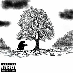 MF Studio + Collabs