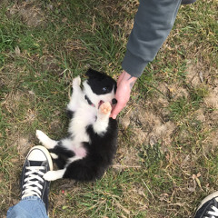 u fockin with the best (ft. NICKZ & Kirra)