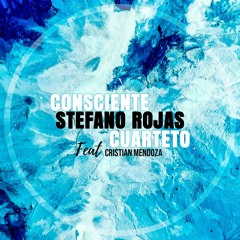 Stefano Rojas - ConscienteDemo