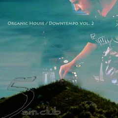 Organic House/Downtempo Vol. 2