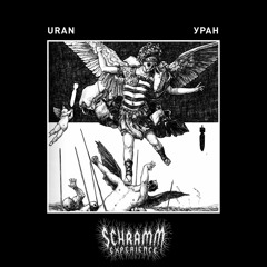 Schramm Experience - TŪB SHÅRK