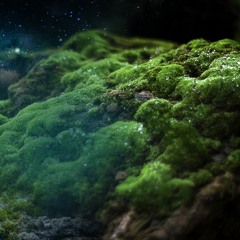 Beyond Limitless ~ Earth ~ The Full Moon Gatherings ~ October 2020