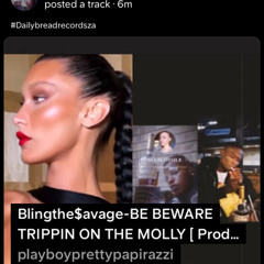 Blingthe$avage-BE BEWARE TRIPPIN ON THE MOLLY.flac