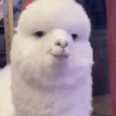ร่อน