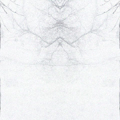 thoughtful enlightenment (+ meskai)