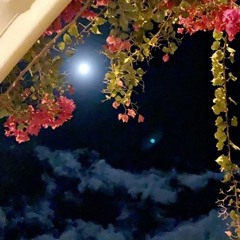 " خذانا العشق من يوم التقينا "