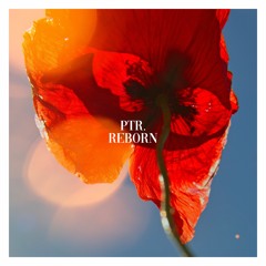 Ptr. - Reborn