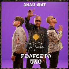 FREE DL : Proyecto Uno - Te Tumba (Ahau Edit)