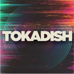 DJ Toka aka Tokadish Ft. Jay Harmony - Won't Let Life Hold Me Down