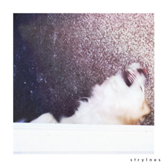 What We Leave Behind [Demo]