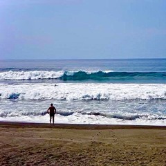 Prairie by the sea (Surfin Cowboys)