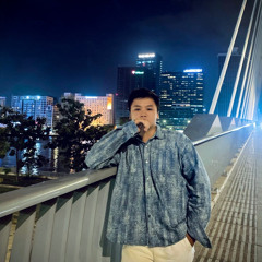 NST - BAY BỔNG VOL 1 - VIETMIX HOTTREND 2025