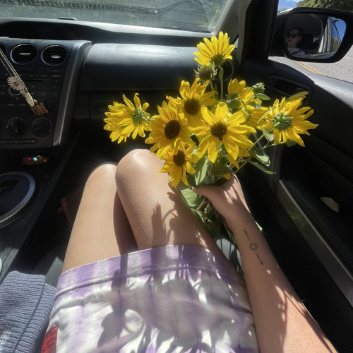 SPRINGFLING