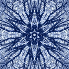 Fallin Winter