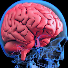 mother fucker brain feat.Rain