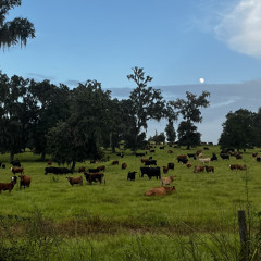 jean sky diving >>>>