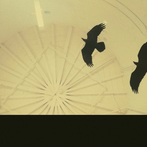 crow [prod by jolst]