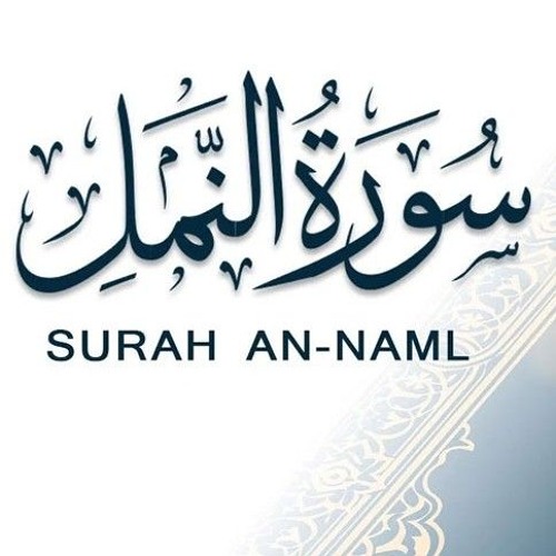 تلاوة خاشعة لما تيسر من سورة النمل - تلاوة هادئة