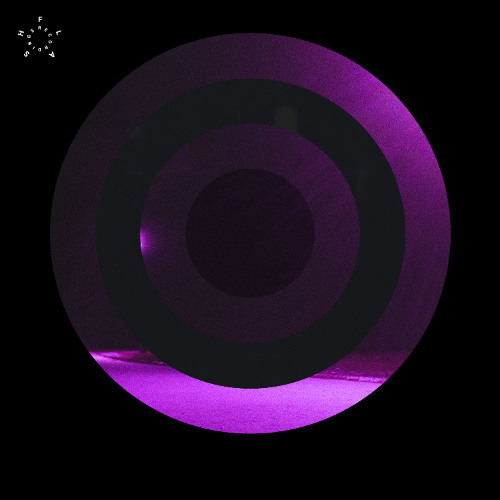 Gina Demarchi - Outer Shell [ FLASH 391 ]