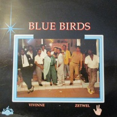 Blue Birds - Tchimbe Raid