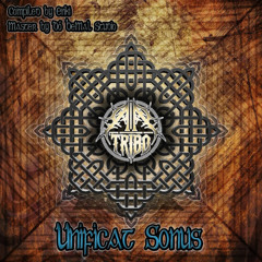 Lispector [V.A  A Tribo Unificat Sonus] DobemalStudio Master